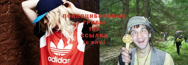 ешки Алексеевка