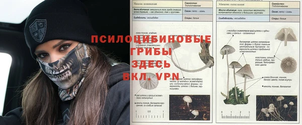 метадон Алексин